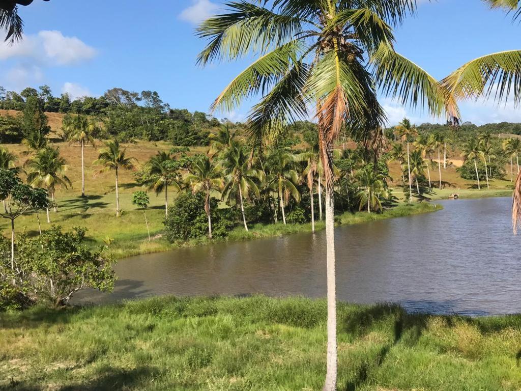 Oka 23 Milagres Villa São Miguel dos Milagres Екстериор снимка